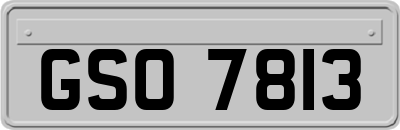 GSO7813