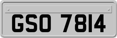 GSO7814