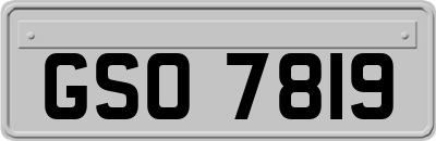 GSO7819