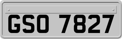 GSO7827