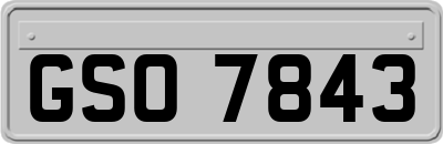 GSO7843