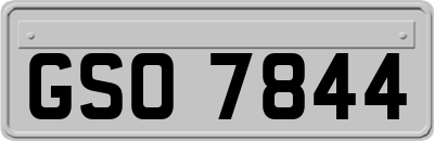 GSO7844
