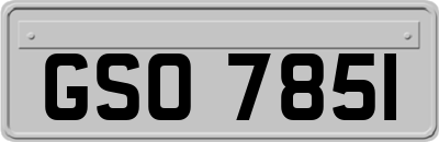 GSO7851