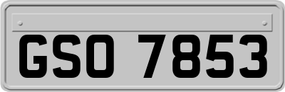 GSO7853