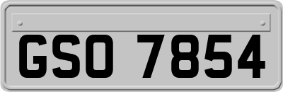 GSO7854