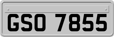 GSO7855