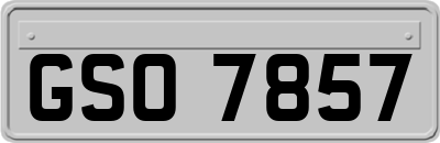 GSO7857