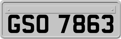 GSO7863