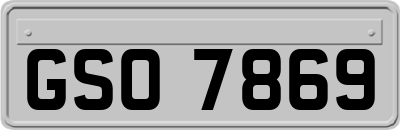 GSO7869