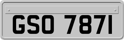 GSO7871