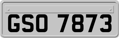 GSO7873