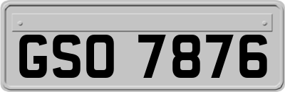 GSO7876