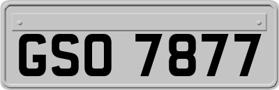 GSO7877