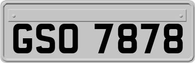 GSO7878