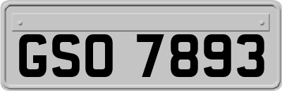 GSO7893