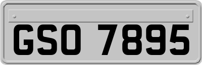GSO7895