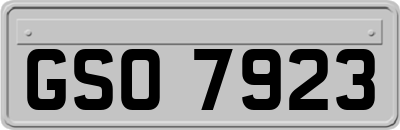 GSO7923
