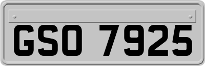 GSO7925