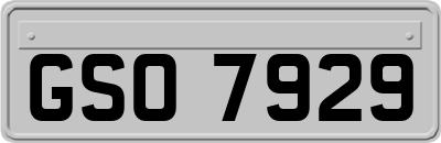 GSO7929