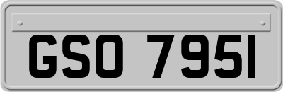 GSO7951