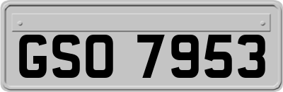 GSO7953