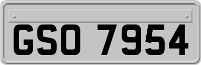GSO7954