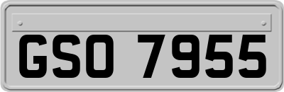 GSO7955