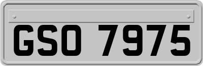 GSO7975