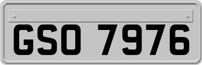 GSO7976