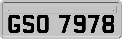 GSO7978