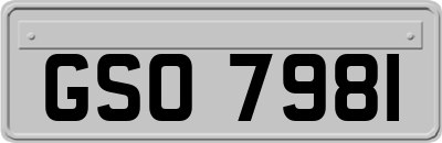 GSO7981
