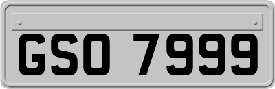 GSO7999