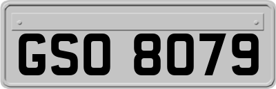 GSO8079