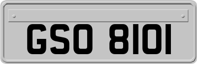 GSO8101