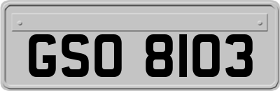 GSO8103