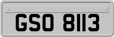 GSO8113