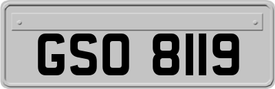 GSO8119