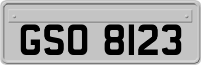 GSO8123