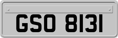 GSO8131