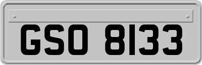 GSO8133