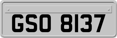 GSO8137