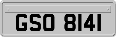 GSO8141
