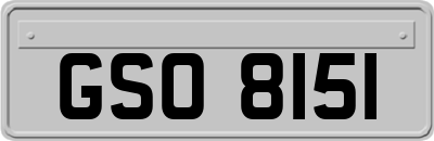 GSO8151