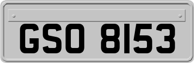 GSO8153