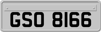 GSO8166
