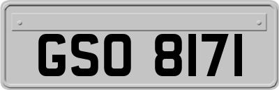 GSO8171