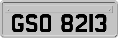 GSO8213