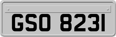 GSO8231