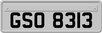 GSO8313
