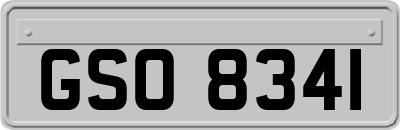 GSO8341